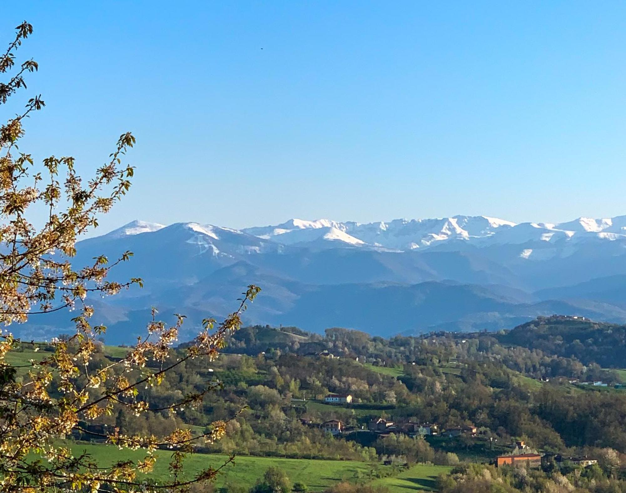 Villa Just Langhe Casa Barolo Novello Esterno foto