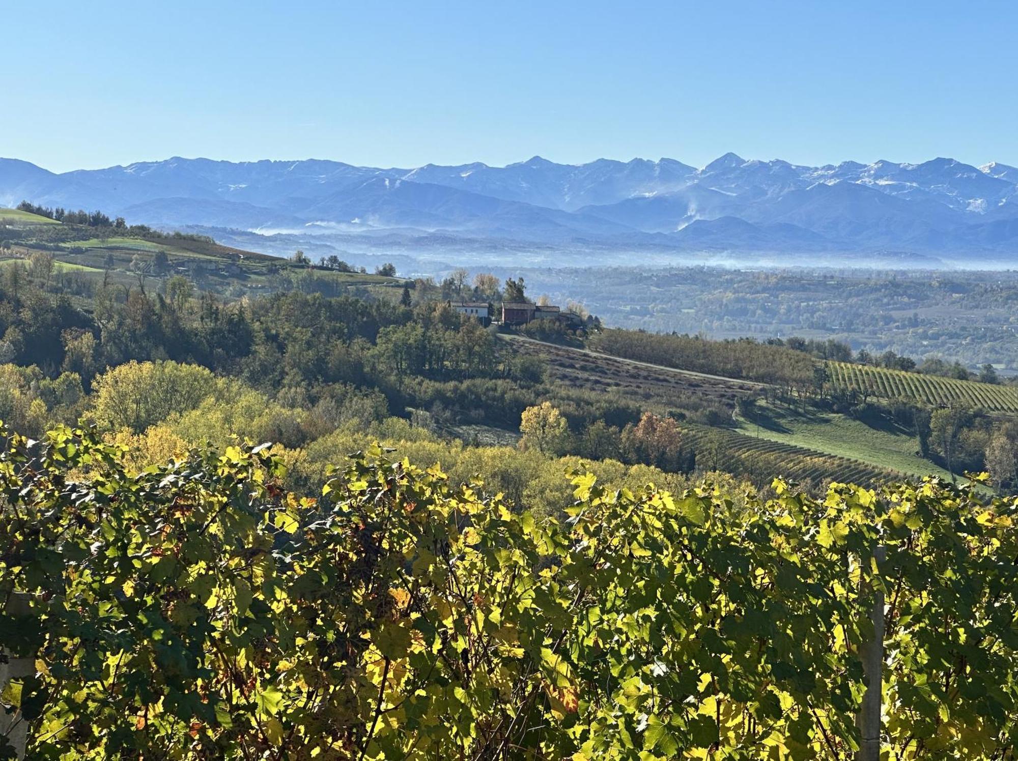 Villa Just Langhe Casa Barolo Novello Esterno foto