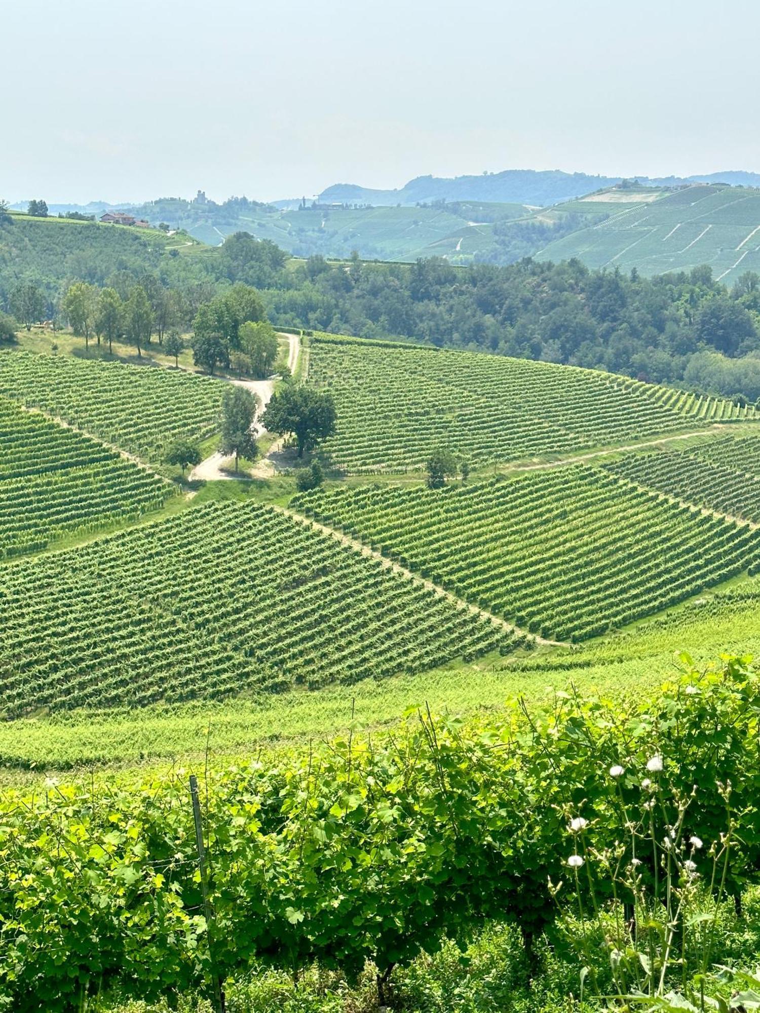 Villa Just Langhe Casa Barolo Novello Esterno foto