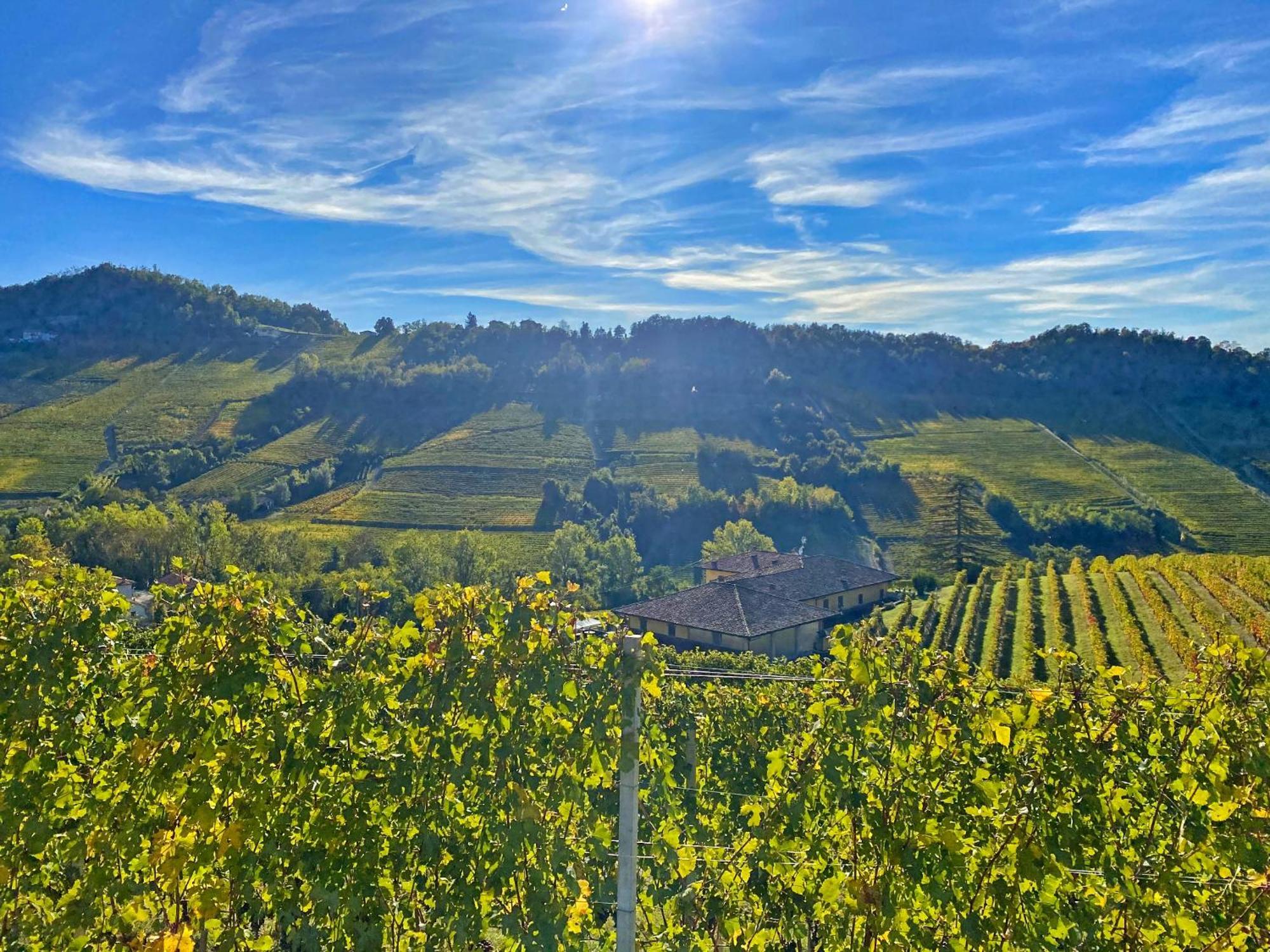 Villa Just Langhe Casa Barolo Novello Esterno foto